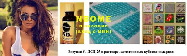 гидра Дмитров