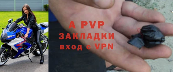 гидра Дмитров