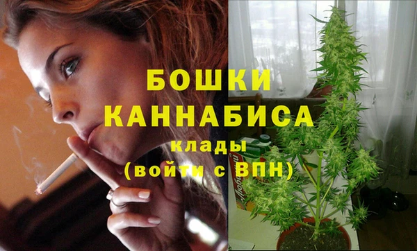 гидра Дмитров