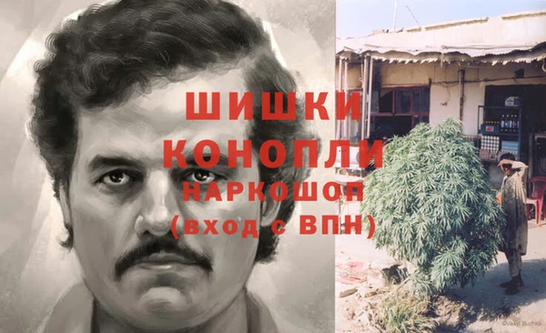 мдпв Дмитриев