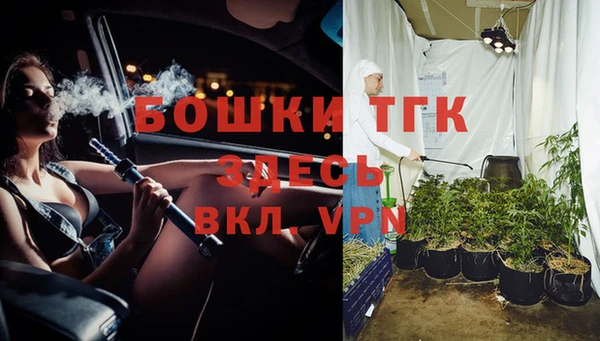 мдпв Дмитриев