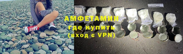 мдпв Дмитриев