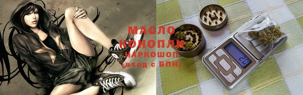 гидра Дмитров