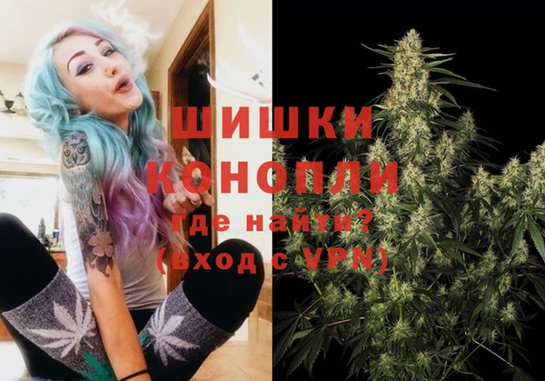 гидра Дмитров