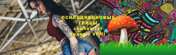 мдпв Дмитриев