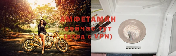 мдпв Дмитриев